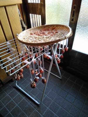 干し柿作りました