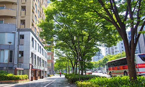 岐阜県瑞穂市の生活アシストててぷらすは外出支援・病院内の付き添い・家事代行など、ご希望に沿った適切なサービスを提供しております。対応エリアは瑞穂市から半径30km圏内とし、岐阜県：西濃、岐阜、中濃の一部地域、愛知県：一宮市、岩倉市、江南市、犬山市、清須市、小牧市、北名古屋市、稲沢市、三重県：いなべ市にてサービスを提供いたします。